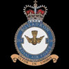 RAF 214Sqn emblem