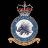 RAF 215Sqn emblem