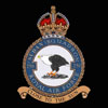 RAF 250Sqn emblem