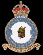 RAF 350Sqn emblem