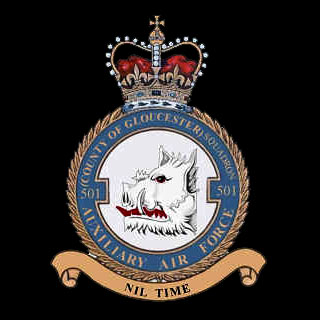 501 Squadron Crest