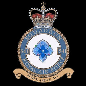 501 Squadron Crest