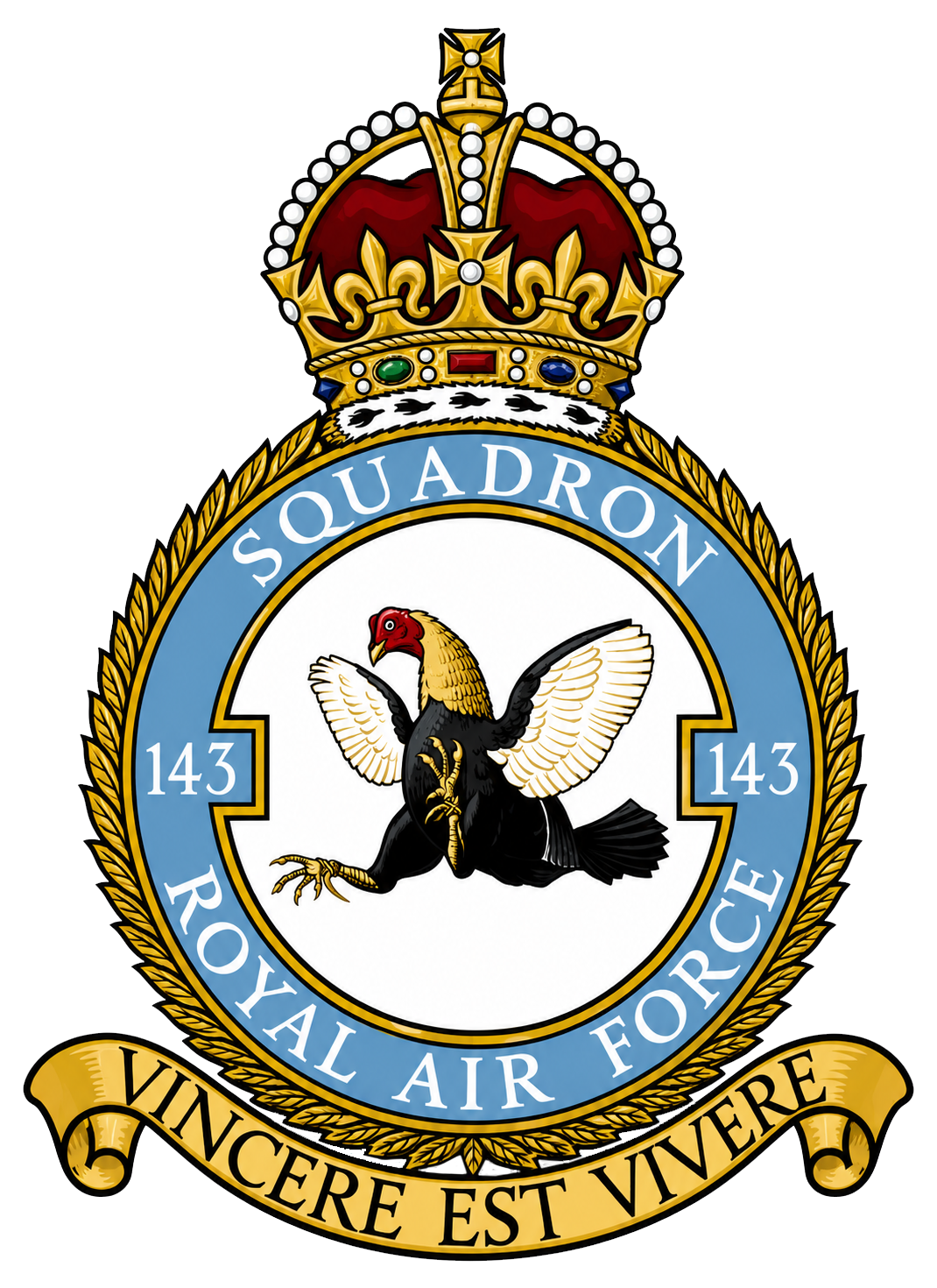 RAF 143Sqn emblem