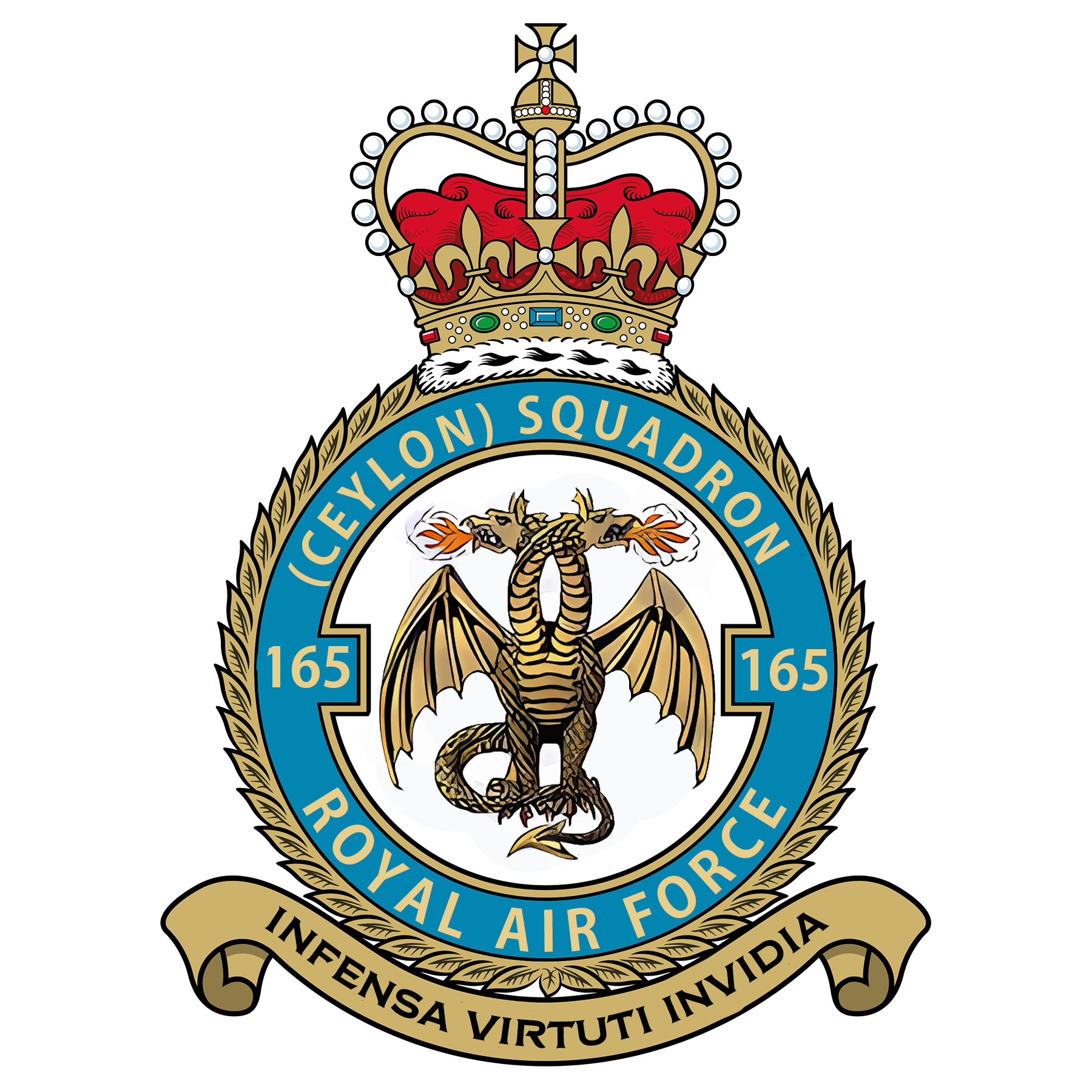 RAF 165Sqn emblem