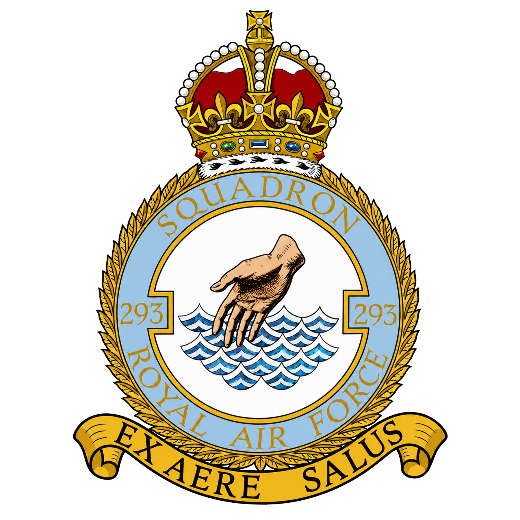 RAF 293Sqn emblem