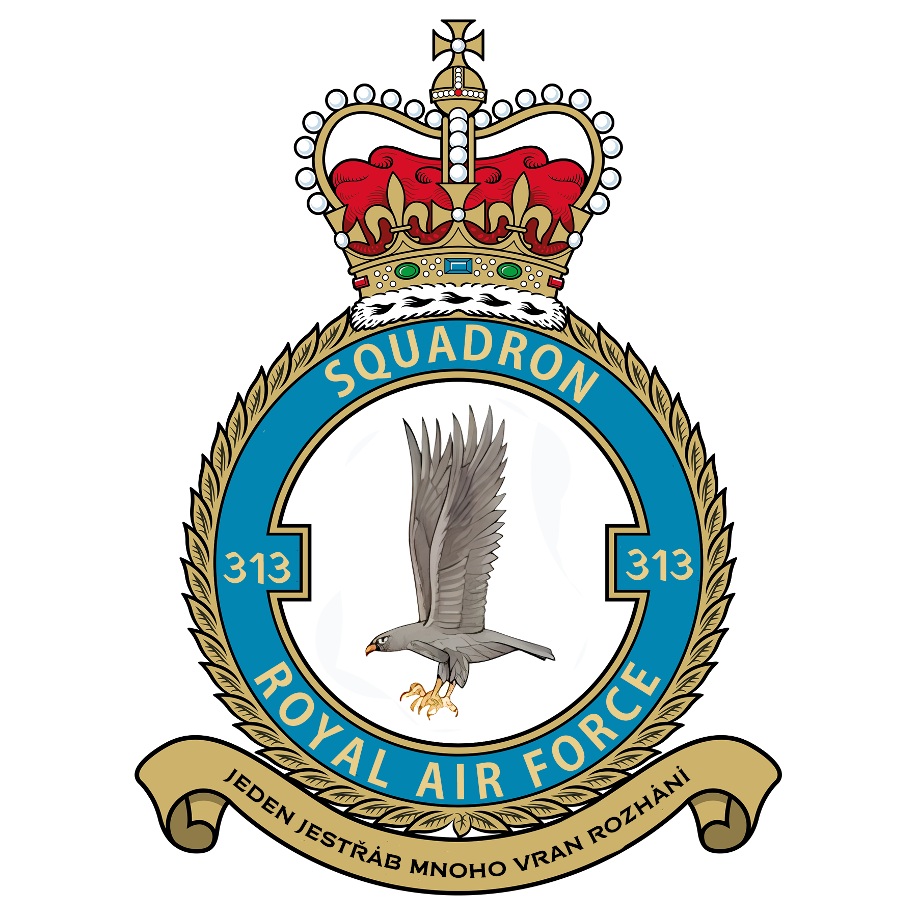 RAF 313Sqn emblem