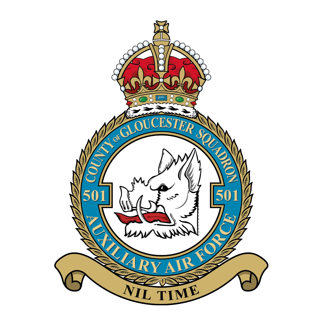 RAF 501Sqn emblem
