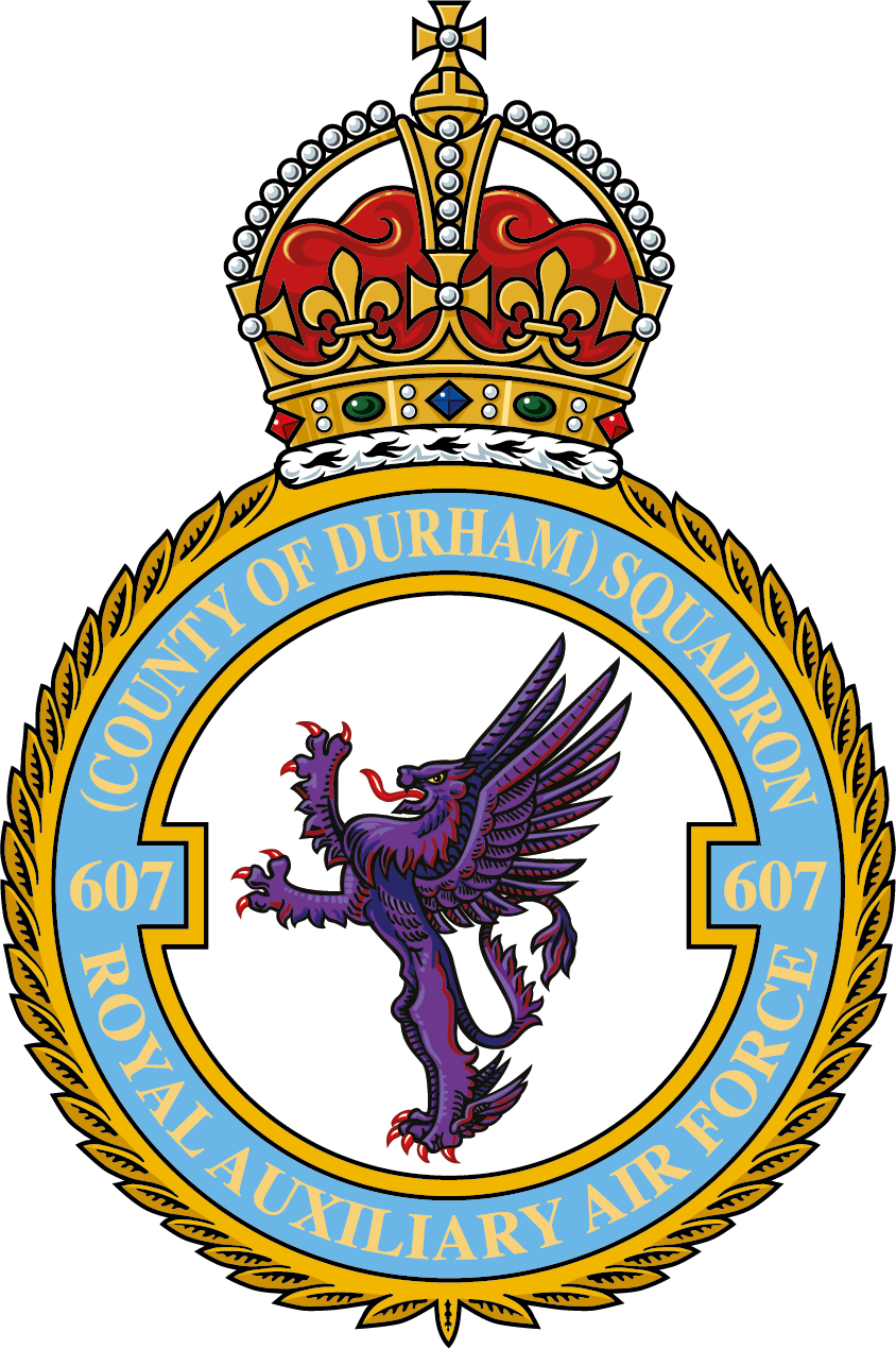 RAF 607Sqn emblem