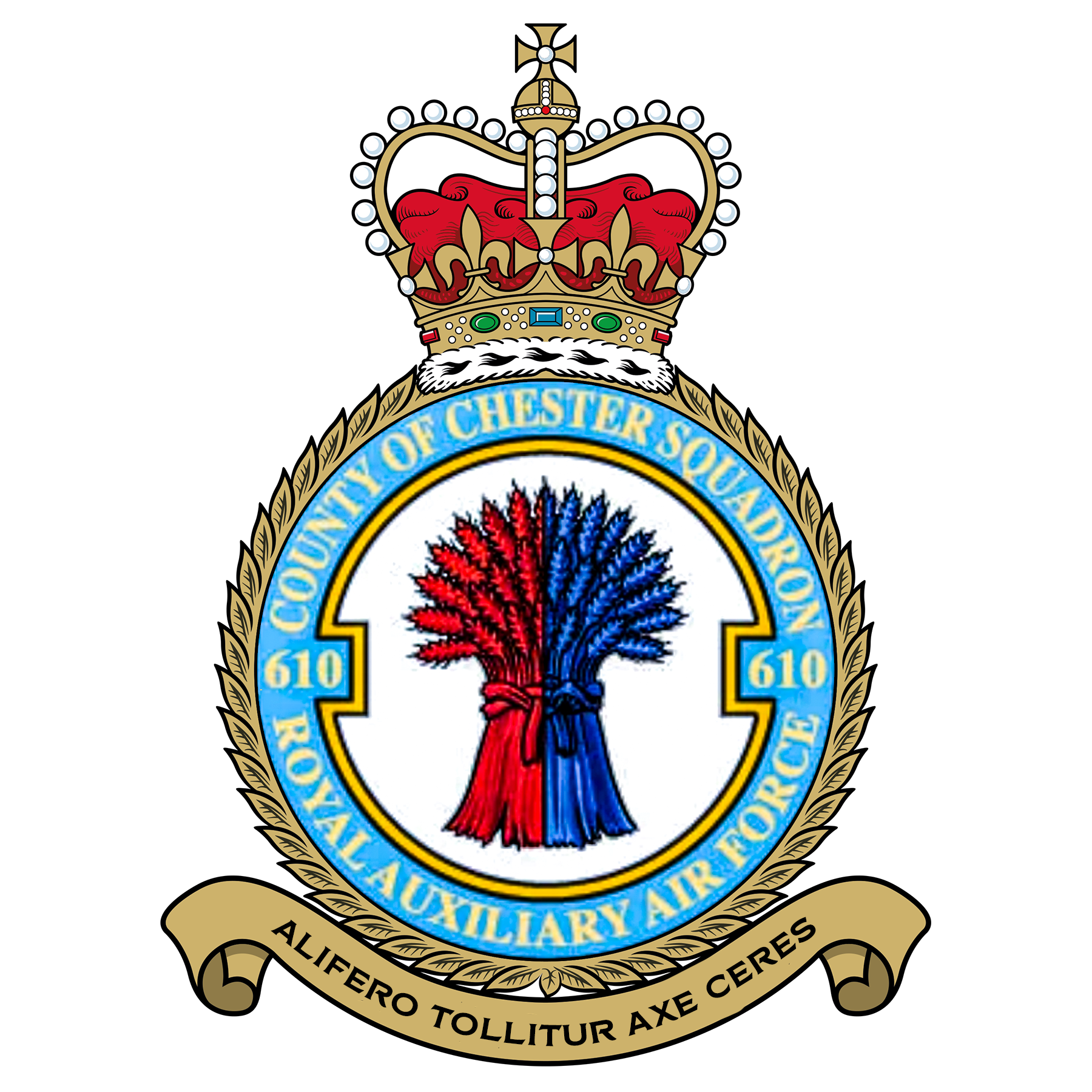 RAF 610Sqn emblem