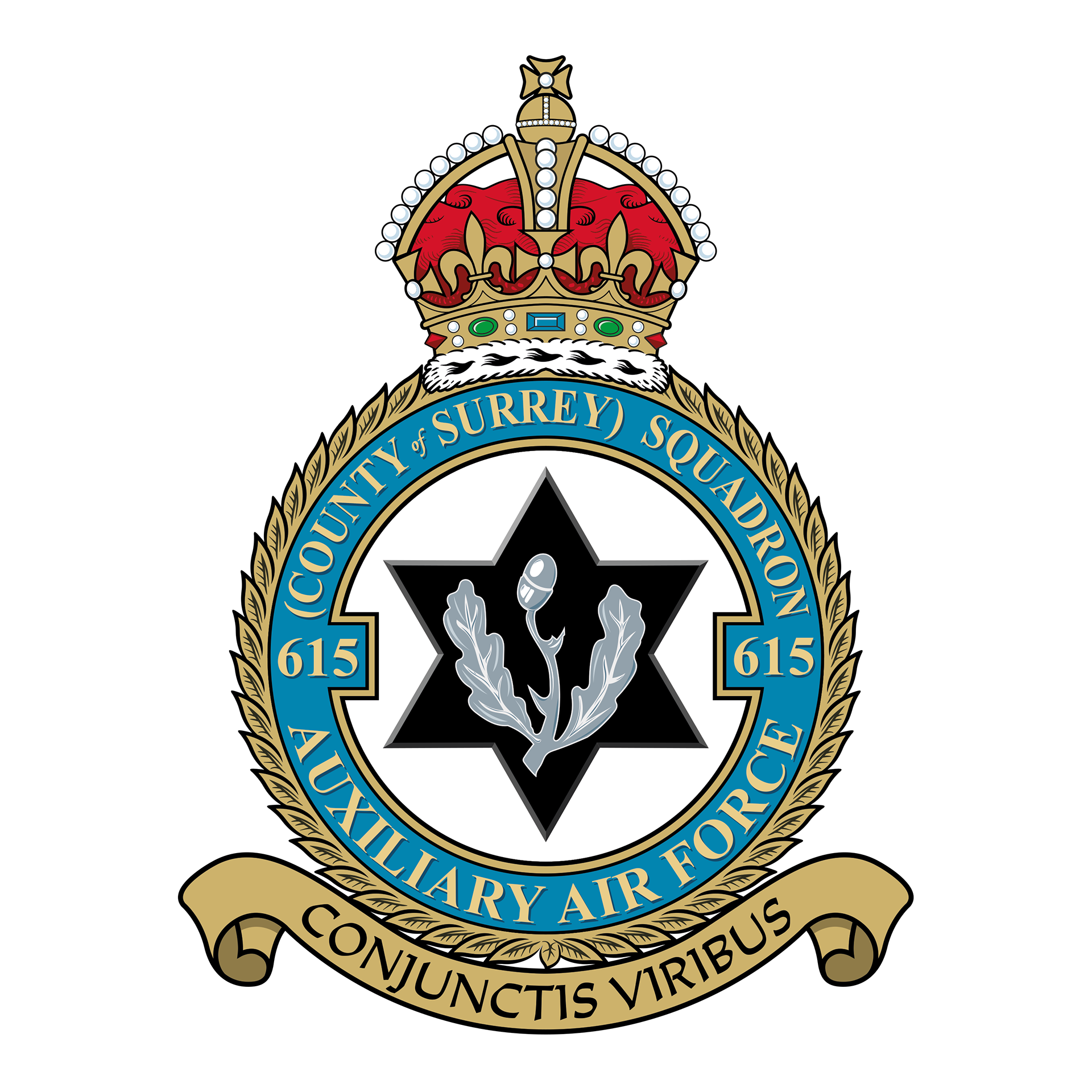 RAF 615Sqn emblem
