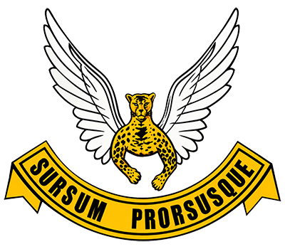 SAAF No 2 Squadron emblem
