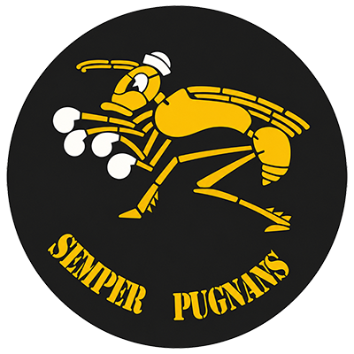SAAF No 3 emblem