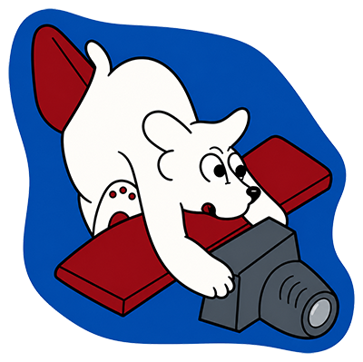 USAAF 7th Reconnaissance Group emblem - 14th Recon Sqn