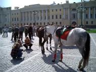Asisbiz Russia Saint Petersburg Horses 2005 01