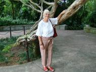 Asisbiz Singapore Botanical Gardens Nov 2004 01