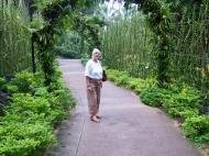 Asisbiz Singapore Botanical Gardens Nov 2004 05