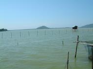 Asisbiz Buddhist Pilgrimage near Malaysian Boarder Apr 2001 04