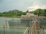 Asisbiz Buddhist Pilgrimage near Malaysian Boarder Apr 2001 09