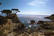 Asisbiz HDR effect Lonely Cypress Tree 17 Mile Drive Monterey California July 2011 01