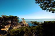 Asisbiz HDR effect Lonely Cypress Tree 17 Mile Drive Monterey California July 2011 02