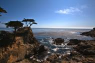 Asisbiz HDR effect Lonely Cypress Tree 17 Mile Drive Monterey California July 2011 03