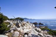 Asisbiz Lonely Cypress Tree area 17 Mile Drive Monterey California July 2011 04