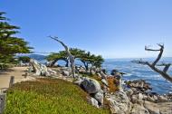 Asisbiz Lonely Cypress Tree area 17 Mile Drive Monterey California July 2011 13