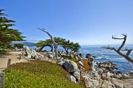 Asisbiz Lonely Cypress Tree area 17 Mile Drive Monterey California July 2011 13