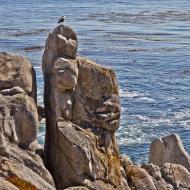 Asisbiz Lonely Cypress Tree area 17 Mile Drive Monterey California July 2011 21