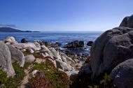 Asisbiz Lonely Cypress Tree area 17 Mile Drive Monterey California July 2011 31