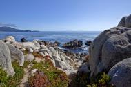 Asisbiz Lonely Cypress Tree area 17 Mile Drive Monterey California July 2011 33