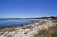 Asisbiz Pebble Beach 17 Mile Drive facing Spanish Bay Monterey California July 2011 06