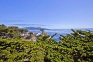 Asisbiz The Lonely Cypress Tree 17 Mile Drive Monterey California July 2011 01