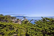 Asisbiz The Lonely Cypress Tree 17 Mile Drive Monterey California July 2011 01