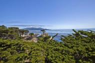 Asisbiz The Lonely Cypress Tree 17 Mile Drive Monterey California July 2011 03