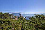 Asisbiz The Lonely Cypress Tree 17 Mile Drive Monterey California July 2011 03