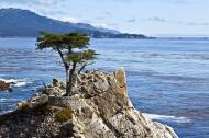 Asisbiz The Lonely Cypress Tree 17 Mile Drive Monterey California July 2011 06