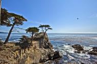 Asisbiz The Lonely Cypress Tree 17 Mile Drive Monterey California July 2011 12