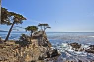 Asisbiz The Lonely Cypress Tree 17 Mile Drive Monterey California July 2011 13