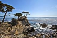 Asisbiz The Lonely Cypress Tree 17 Mile Drive Monterey California July 2011 14