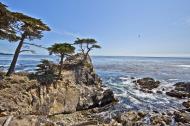 Asisbiz The Lonely Cypress Tree 17 Mile Drive Monterey California July 2011 15