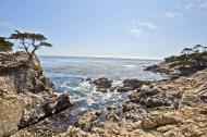 Asisbiz The Lonely Cypress Tree 17 Mile Drive Monterey California July 2011 16