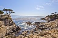 Asisbiz The Lonely Cypress Tree 17 Mile Drive Monterey California July 2011 17