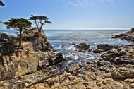 Asisbiz The Lonely Cypress Tree 17 Mile Drive Monterey California July 2011 18