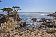 Asisbiz The Lonely Cypress Tree 17 Mile Drive Monterey California July 2011 19