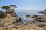 Asisbiz The Lonely Cypress Tree 17 Mile Drive Monterey California July 2011 20