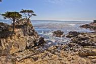 Asisbiz The Lonely Cypress Tree 17 Mile Drive Monterey California July 2011 21