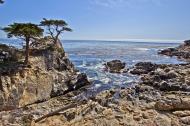 Asisbiz The Lonely Cypress Tree 17 Mile Drive Monterey California July 2011 22