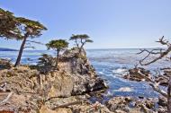 Asisbiz The Lonely Cypress Tree 17 Mile Drive Monterey California July 2011 26