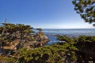 Asisbiz The Lonely Cypress Tree 17 Mile Drive Monterey California July 2011 28